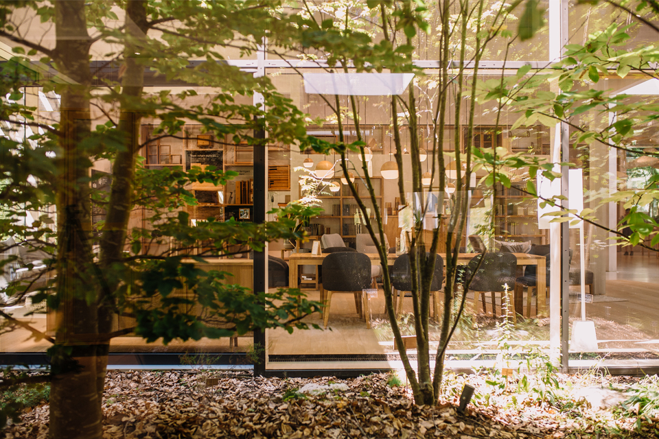 Heller Innenhof mit Glasfront und Blick in grünen Garten