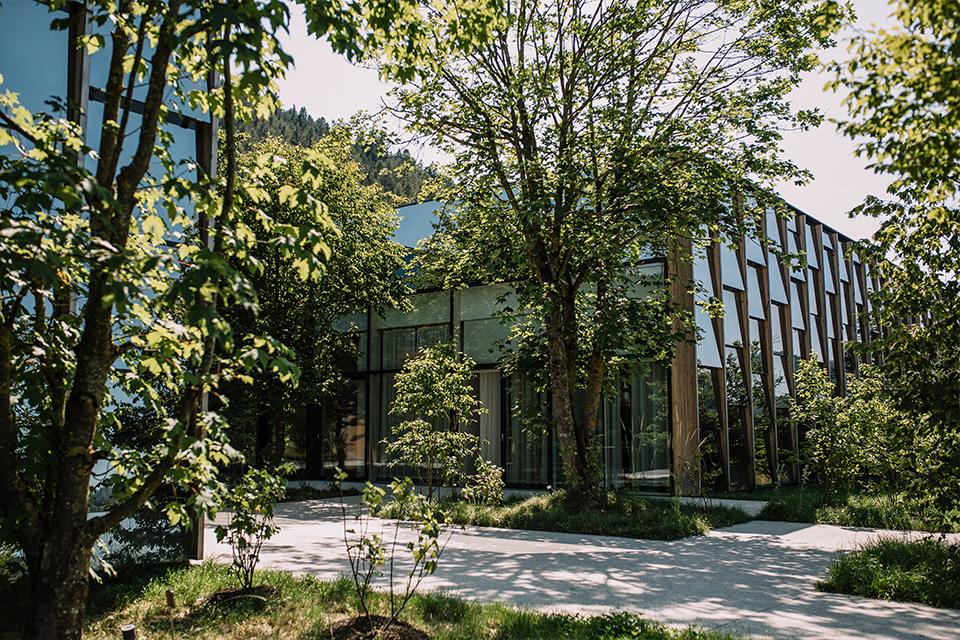 Eingangsbereich der Grüne Erde Welt mit Bäumen und Wiesen