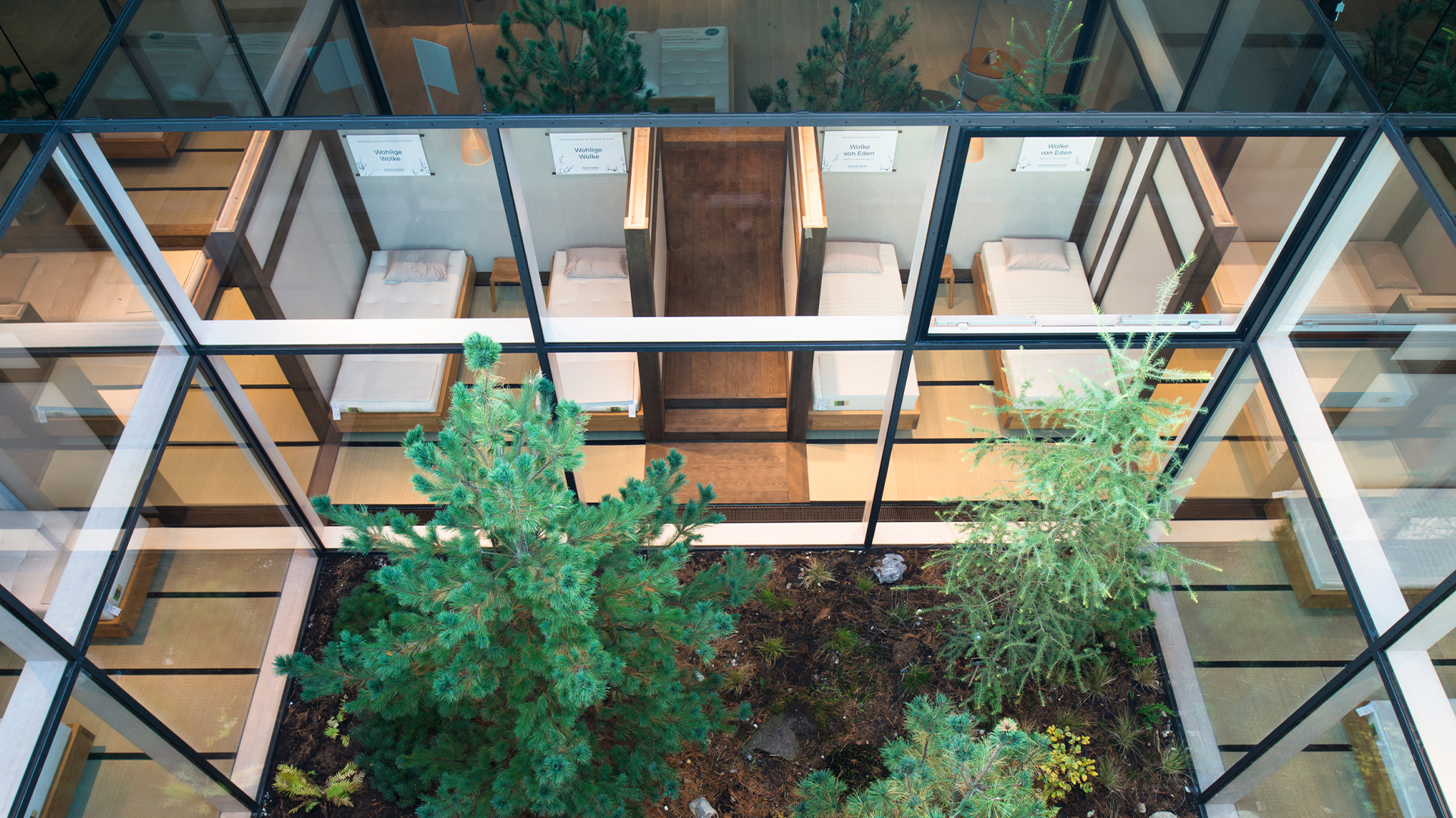 Innenhof aus Glas mit Pflanzen und Bäumen