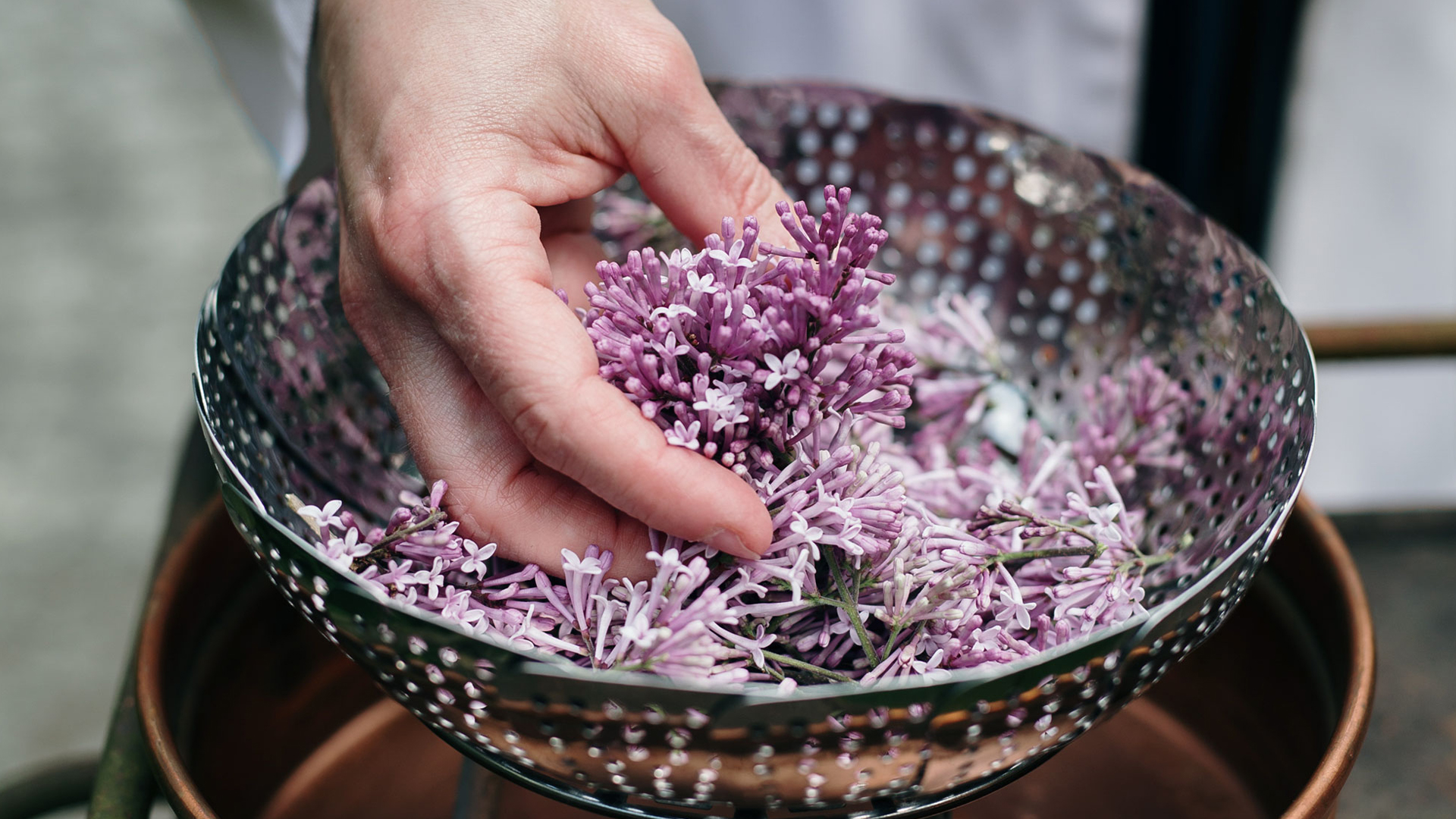 violette Blüten werden aus einer Schale entnommen