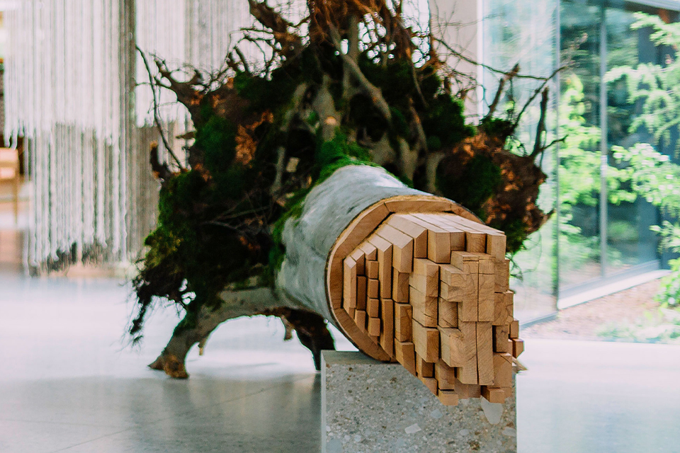 Dekorativer Baumstumpf im Eingangsbereich der Grünen Erde Welt