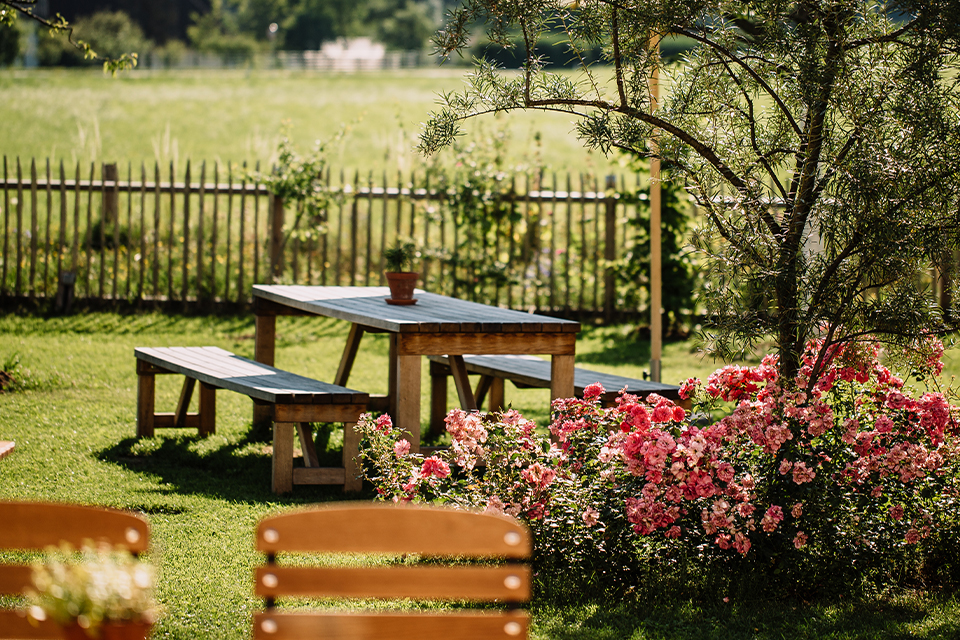 Holztisch mit Sitzbänken im Garten mit blühenden Rosen in ländlicher Umgebung