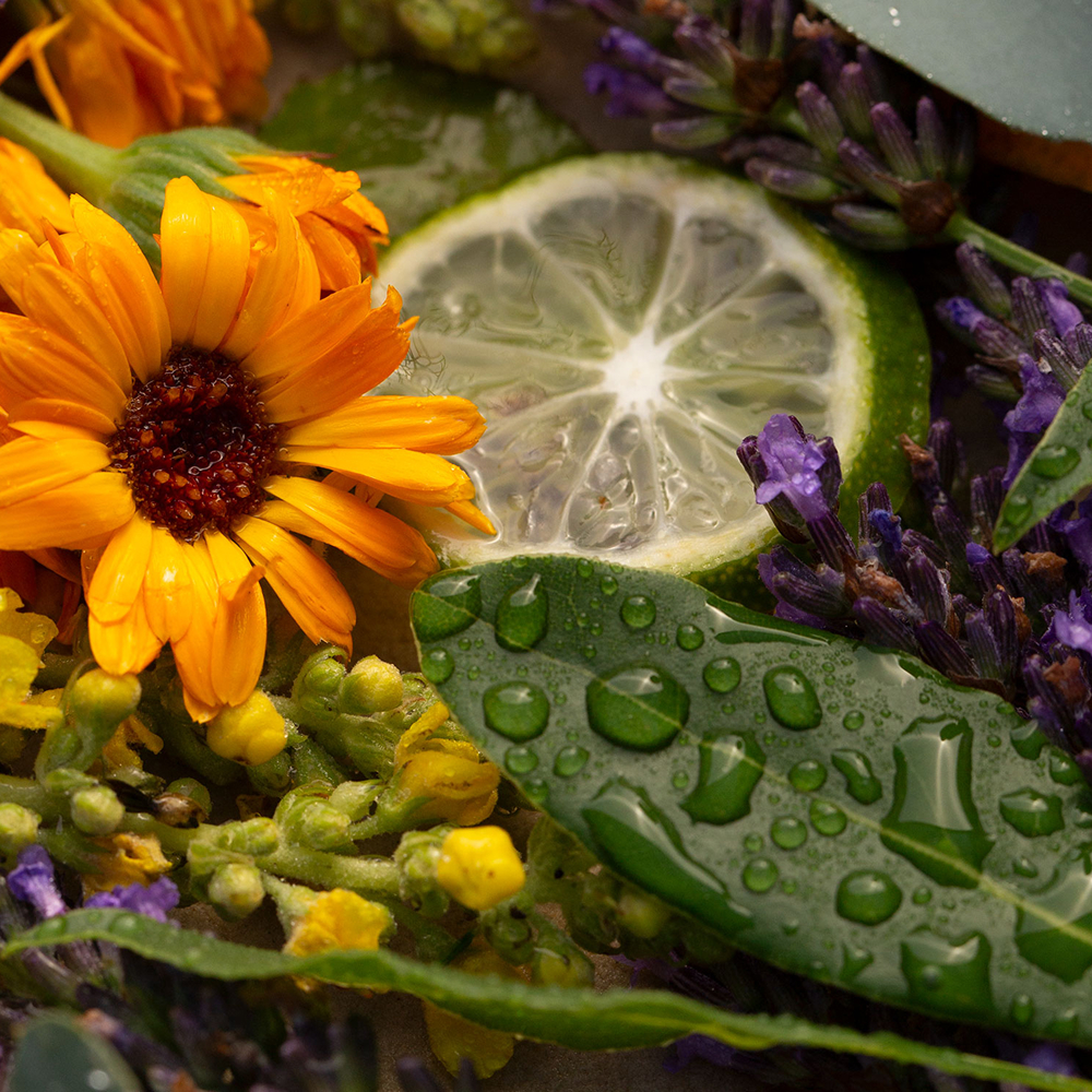 Blume, Limette und Lavendel