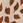 92 minimal druck ocker-gold