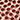 75 Dotties Druck Terra