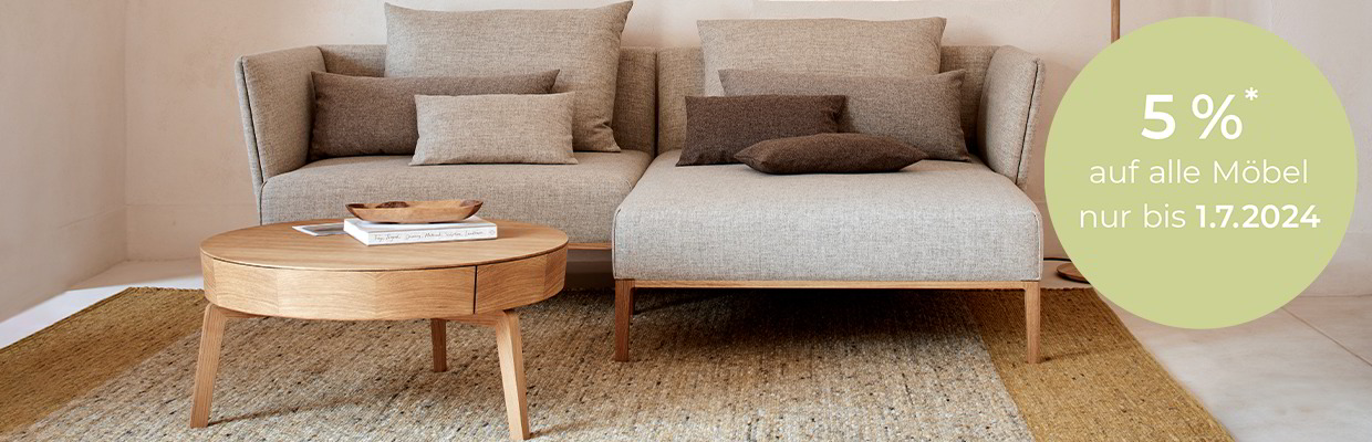 Graues Sofa steht im Wohnzimmer, auf Teppich, Holz Couchtisch steht davor