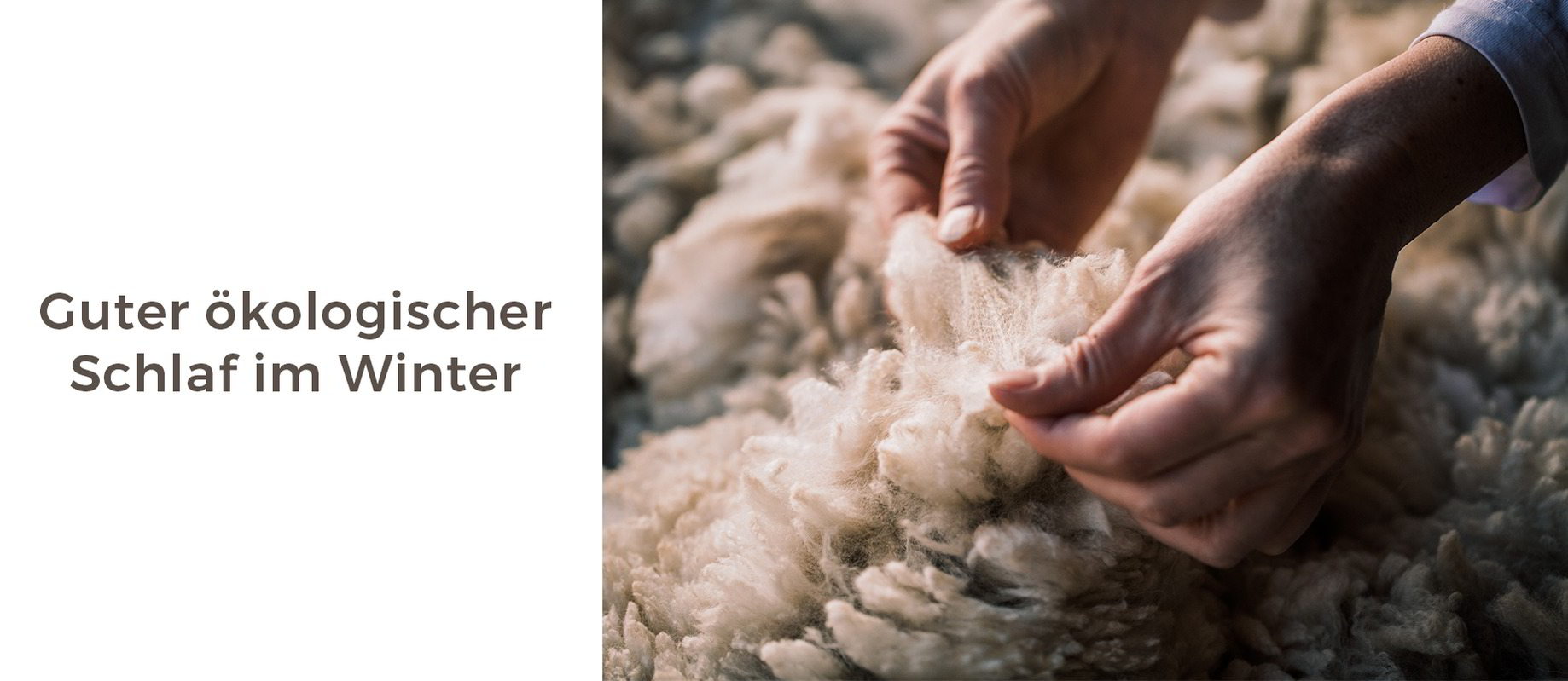 Winterschlaf