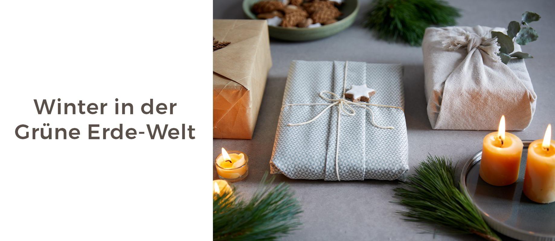 Winter in der Grüne Erde-Welt