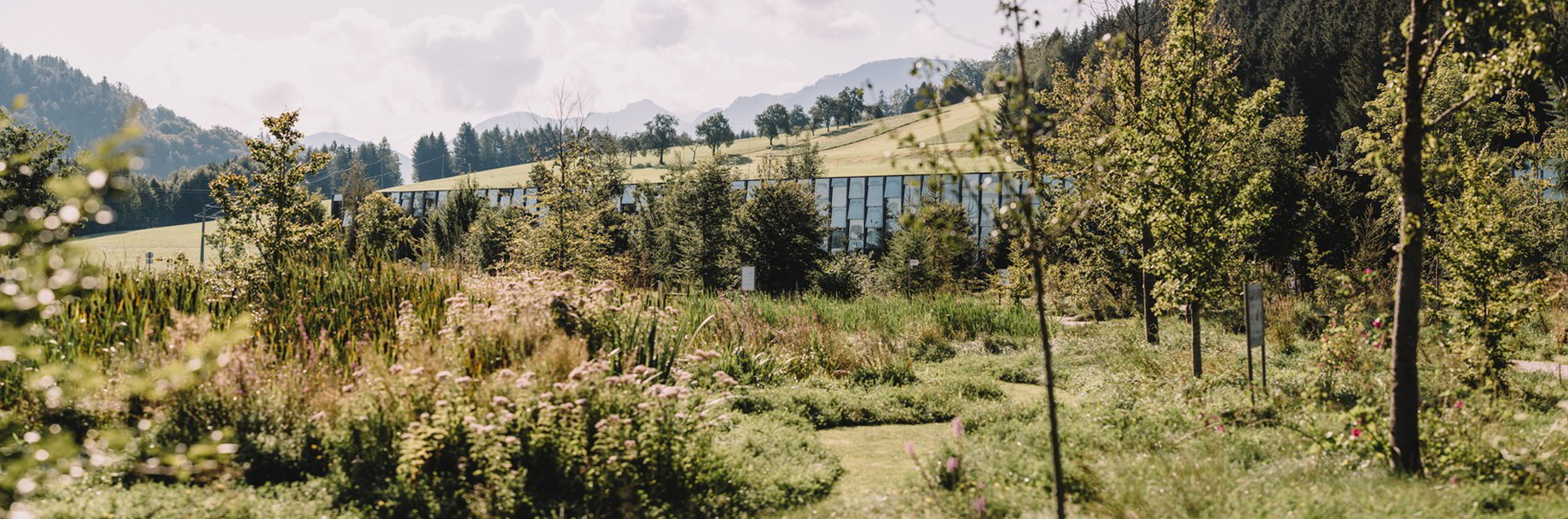 Grüne Erde-Welt im Almtal