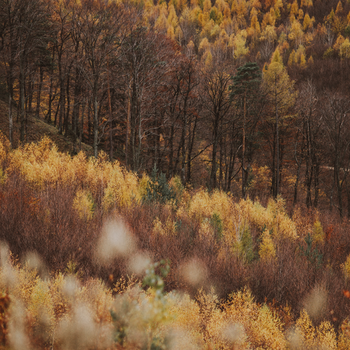 Erfahren Sie mehr: Unsere Kosmetiktipps für den Herbst