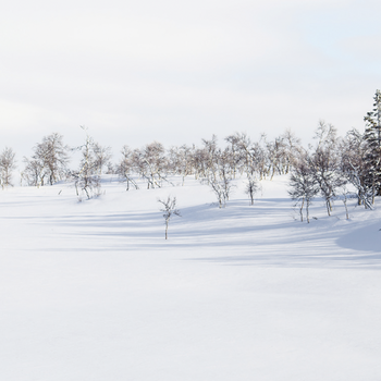 Erfahren Sie mehr: Unsere Kosmetiktipps für den Winter