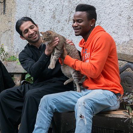 zwei Flüchtlinge mit Katze