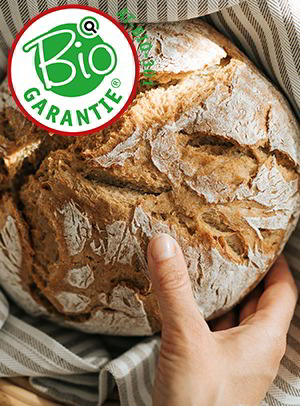 Austria Bio Garantie-zertifizierte Lebensmittel (AbG)