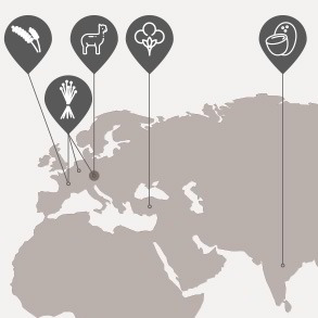 Herkunft Rohmaterial Paradisische Wolke Premium: Baumwolle kbA aus der Türkei. Leinen kbA aus Belgien & Frankreich. Alpaka- und Schurwolle aus Österreich. Kokos- & Naturlatex aus Indien. Leinenkämmlinge aus Österreich. Lavendel kbA aus Frankreich