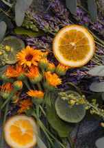 Pure Freude Pure Freude