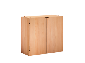 Regal Quint Einschubschrank mit Türen Buche,  B 730 x T 344 x H 695 mm