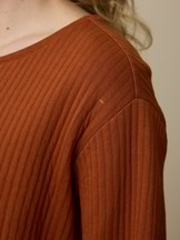 Sweatshirt aus Bio-Baumwolle, kastanie