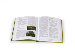 Buch: Gemmotherapie - Knospen in der Naturheilkunde