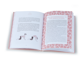 Buch: Das kleine Buch vom guten Morgen, Yoga & Achtsamkeit
