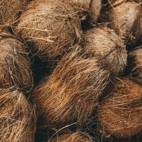 Erfahren Sie mehr: Kokosfasern für Naturmatratzen