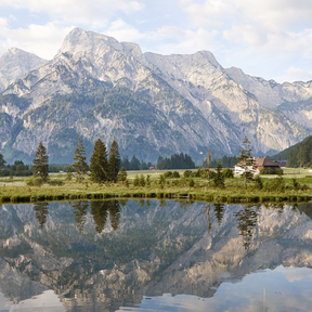 Erfahren Sie mehr: Aromatherapie im Sommer