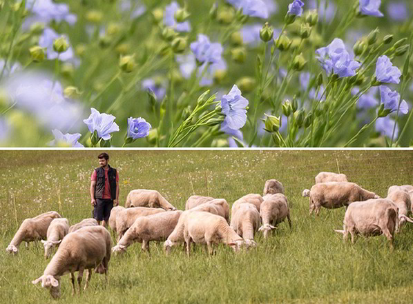 Erfahren Sie mehr: kbA - kontrolliert biologischer Anbau und kbT - kontrolliert biologische Tierhaltung