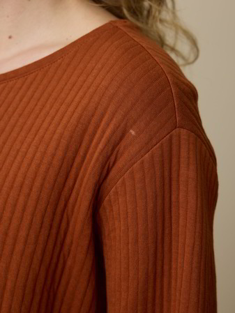 Sweatshirt aus Bio-Baumwolle, kastanie