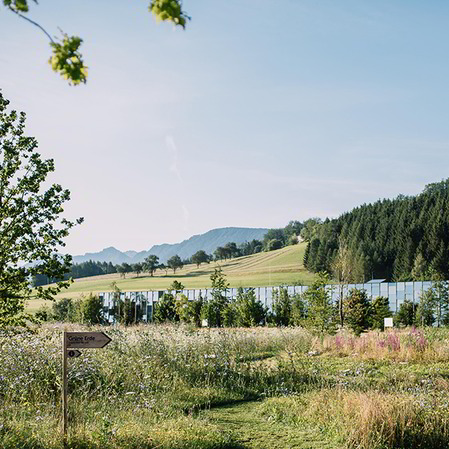 Grüne Erde Welt Aussenansicht