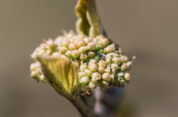 Unsere Tipps für schöne Haut im Frühling