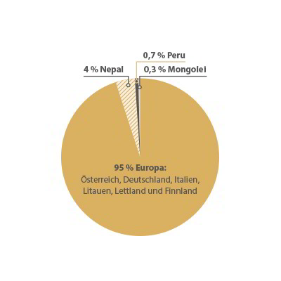 Kreisdiagramm : Wo werden Grüne Erde-Heimtextilien gefertigt?