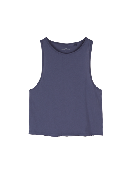Top, heidelbeere