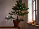 Christbaumschmuck Conturax, mundgeblasen