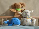 Wal Jonas, Hase Harvey & Schlummerschäfchen Luna