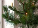 Christbaumschmuck Conturax, mundgeblasen