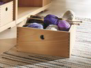 Holzbox Buche
