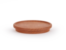 Deckel oder Untersetzer, Erle