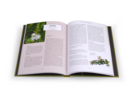 Buch: Heilsames Räuchern mit Wildpflanzen