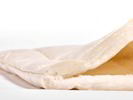 Querschnitt: Schlafkissen-Hülle, Inlett mit Baumwolle versteppt, mit Reißverschluss