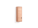 Esempio Modul 29, 254x160x798 mm, Anbauteil Tür links, Griff unten, Kernbuche