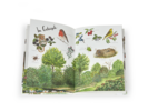 Buch: Das Naturlexikon für Groß und Klein, 28 Seiten