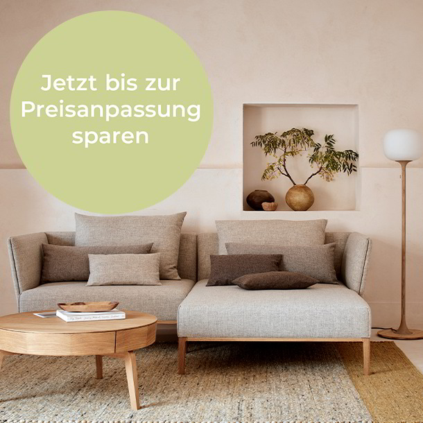 Graues Sofa steht im Wohnzimmer, davor ein Holz Couchtisch, 5 % Rabatt