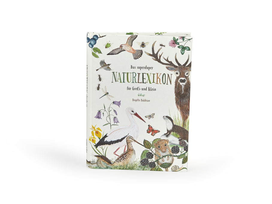 Buch: Das Naturlexikon für Groß und Klein, 28 Seiten