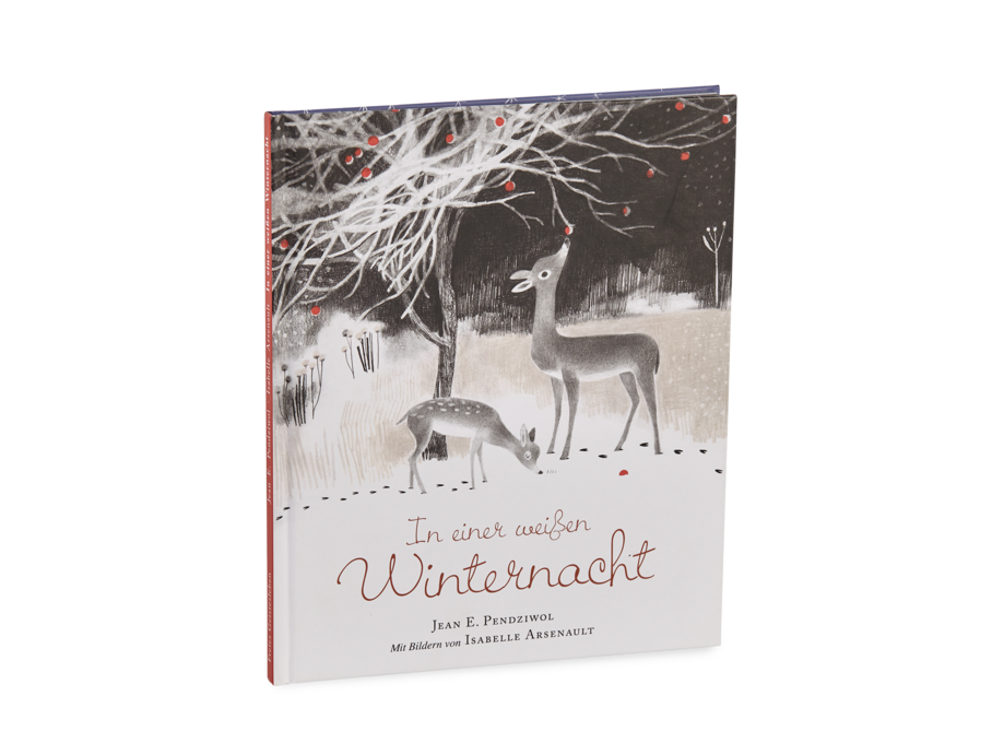 Buch "In einer weißen Winternacht"