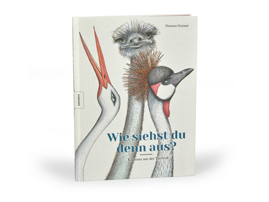 Kinderbuch: "Wie siehst du denn aus?"