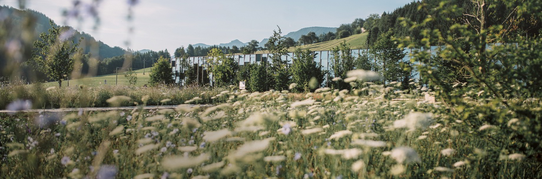 Veranstaltungskalender