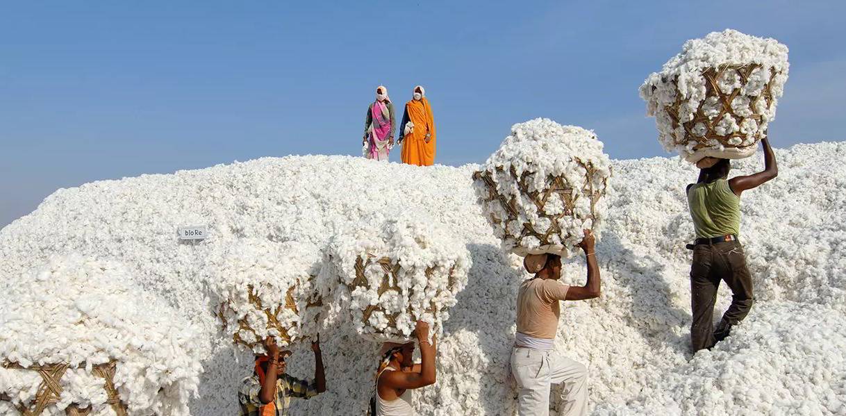 bioRe®-Baumwolle: aus fairem Projektanbau in Indien und Tansania