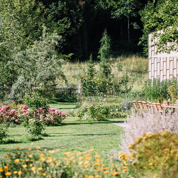 Schnittblumen von „wildflorie“, einem jungen Naturfloristikunternehmen in Scharnstein