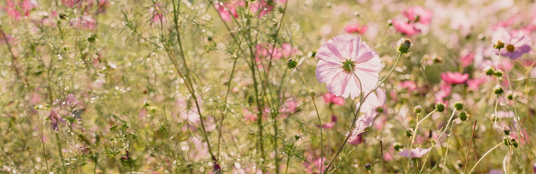 Frühjahrs Geschenke-Guide