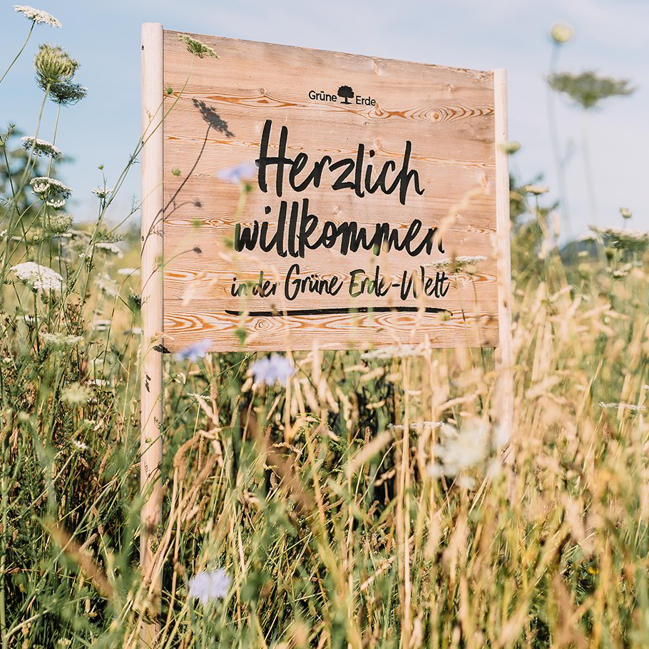 Frühling im Almtal