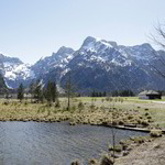Regional oder Bio